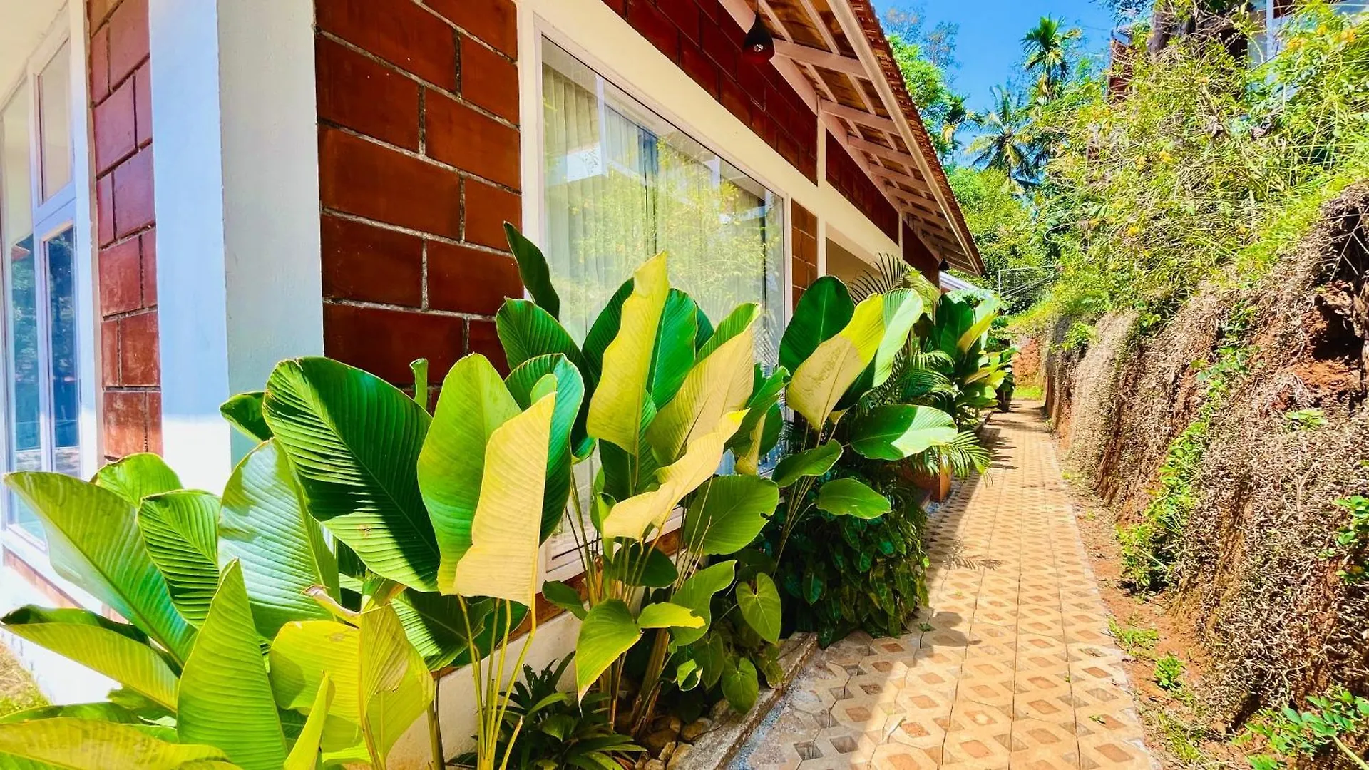 Bed & Breakfast Monarda Resort Padinjarathara